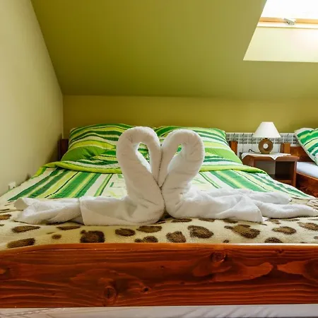 Guest house U Jana 3*
